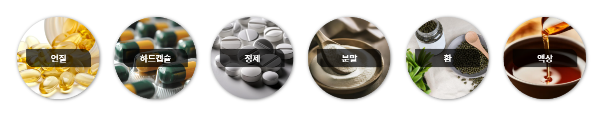 제품제형 제품제형